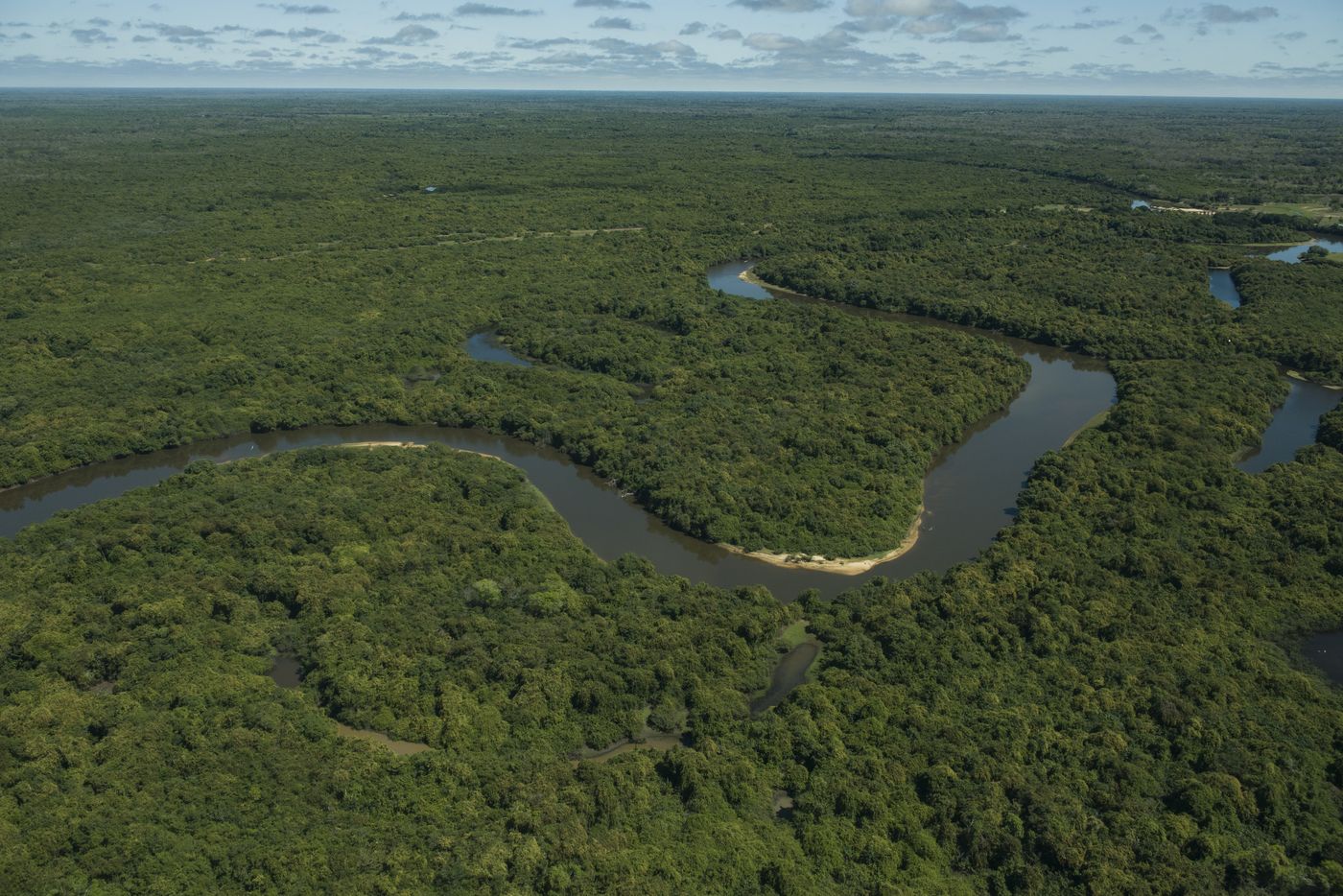Vista aérea do rio sinuoso cortando a floresta densa do Pantanal