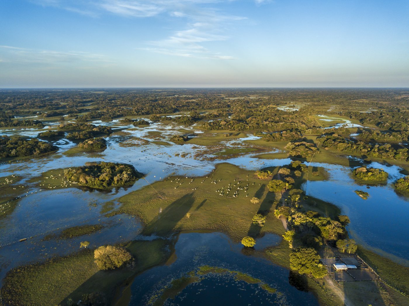 Vista aérea panorâmica do Pantanal com áreas alagadas